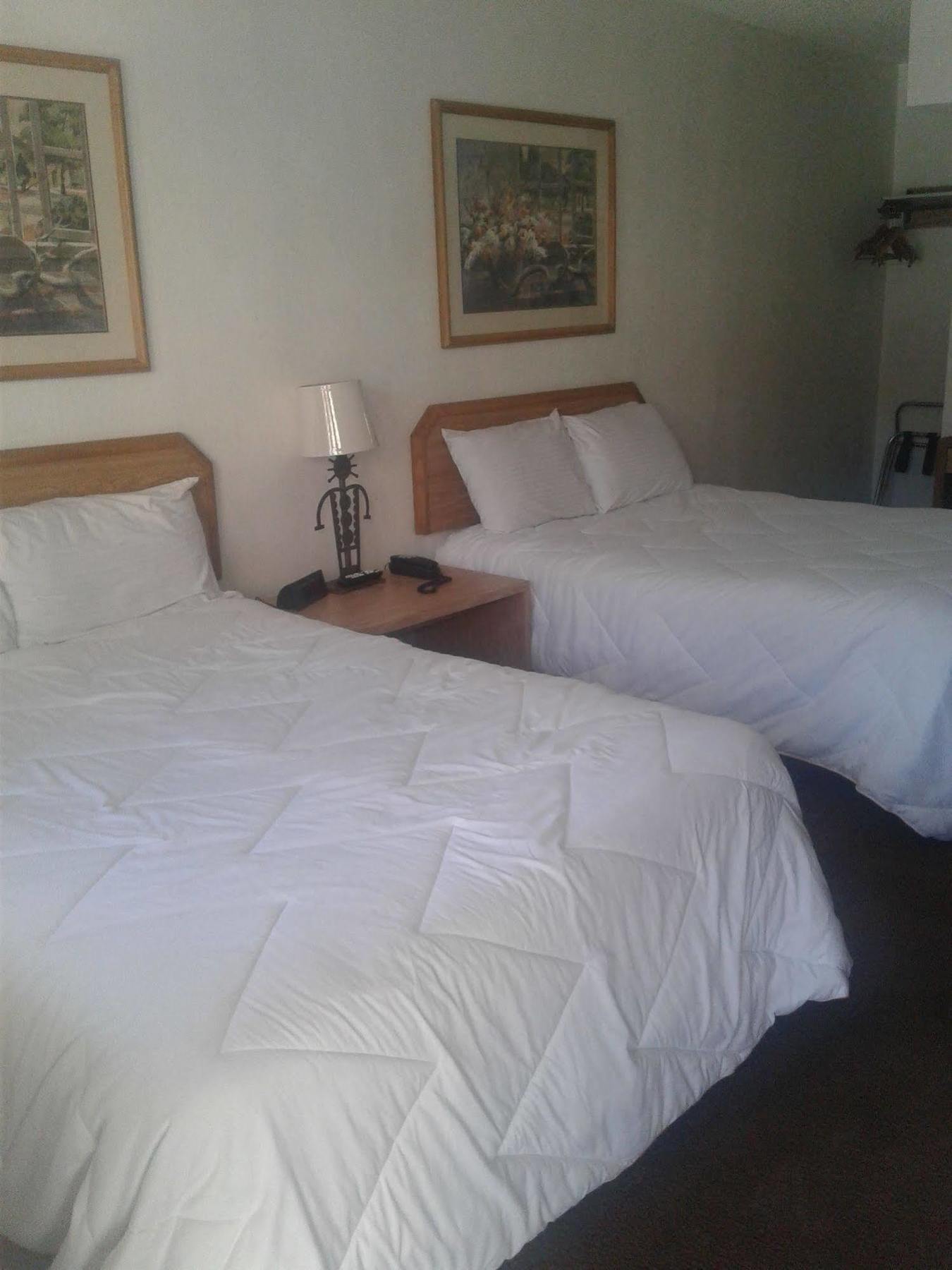 Desert Rose Inn Ріно Екстер'єр фото